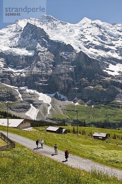 Europa  wandern  unterhalb  Bergmassiv  Scheidegg  Schweiz