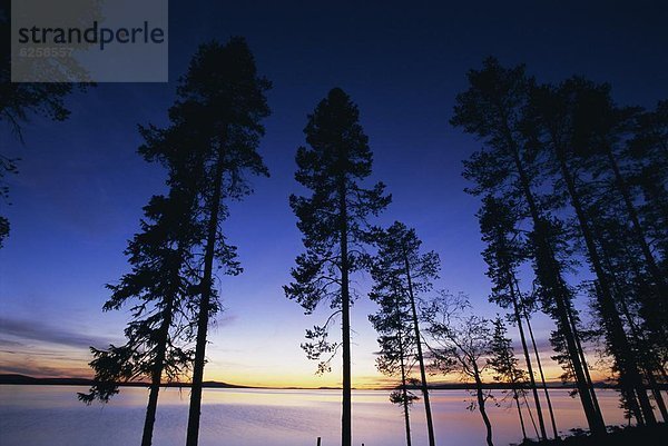 Bäume und See bei Sonnenuntergang  Laponia  Lappland  Schweden  Skandinavien  Europa