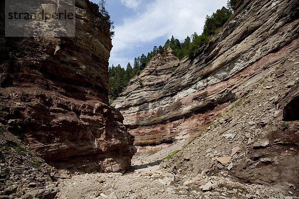 Geoparc Bletterbach  gegraben große Schlucht in den Felsen  in Aldein  Bozen Provinz  Südtirol  Italien  Europa