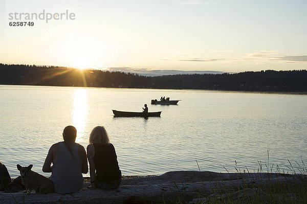 Vereinigte Staaten von Amerika  USA  sehen  Strand  Sonnenuntergang  Silhouette  Hund  Nordamerika  Washington State
