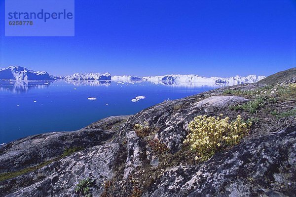 Grönland  Ilulissat