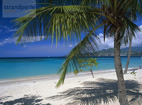 Karibik  Westindische Inseln  Mittelamerika  Grenada  Hauptstadt  Grand Anse Beach  Windward Islands
