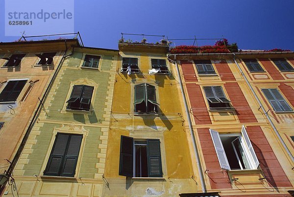 Hafen  Europa  bunt  Fassade  Italien  Ligurien  Portofino