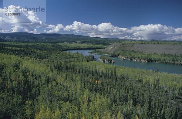 zwischen  inmitten  mitten  5  Gefahr  Navigation  Fluss  Nordamerika  Wildwasser  Richtung  Dawson City  Goldrausch  Kanada  Yukon