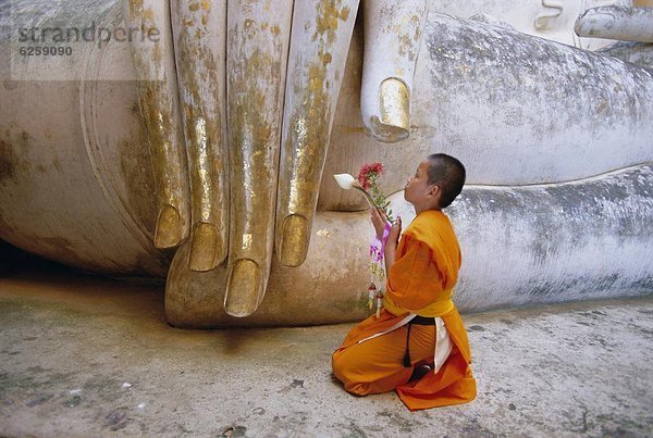 kniend  Statue  unterhalb  fünfstöckig  Buddhismus  UNESCO-Welterbe  Asien  Buddha  Mönch  Sukhothai  Thailand  Wat Si Chum