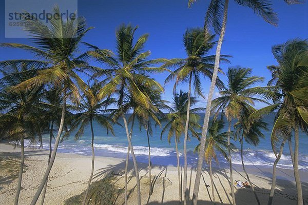 Karibik  Westindische Inseln  Barbados  Mittelamerika  Bottom Bay