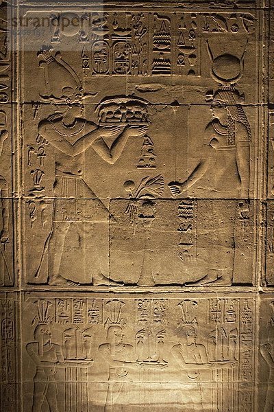 Erleichterung Schnitzereien schmücken die Wände der Tempel von Philae  UNESCO-Weltkulturerbe  in der Nähe von Assuan  Ägypten  Nordafrika  Afrika