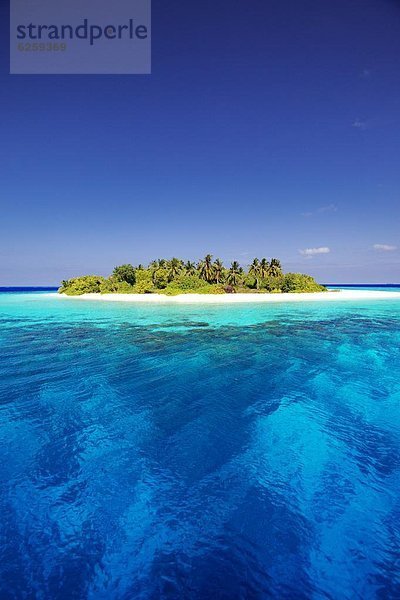 Tropisch  Tropen  subtropisch  Insel  Malediven  Asien  Indischer Ozean  Indik  Lagune