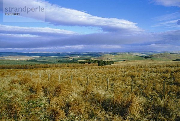 Europa  Großbritannien  Schottland