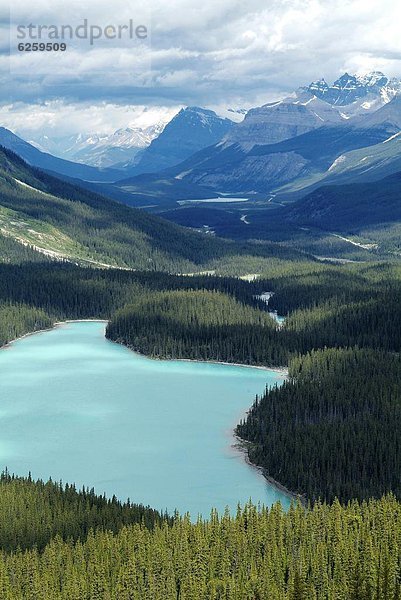 Nordamerika  Rocky Mountains  Peyto Lake  Banff Nationalpark  UNESCO-Welterbe  Alberta  Kanada