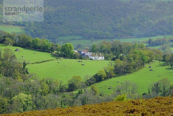 Großbritannien Devon England