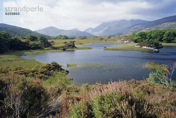 Europa  Kerry County  Killarney  Ring of Kerry