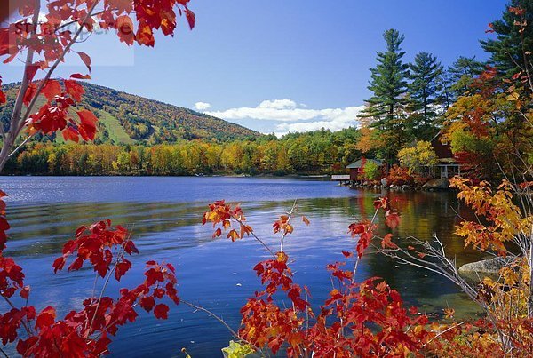 Vereinigte Staaten von Amerika  USA  Hintergrund  Neuengland  Berg  Freundlichkeit  Herbst  Maine