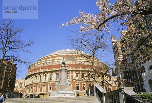 Die Royal Albert Hall  Kensington  London  England  Großbritannien