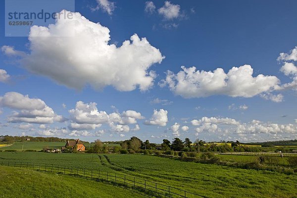 Europa Schönheit Wolke Großbritannien Himmel füllen füllt füllend Feld Dorset England