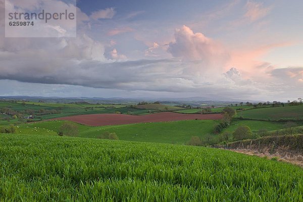 rollen  Europa  Großbritannien  Himmel  über  bizarr  Feld  Mittelpunkt  Devon  England