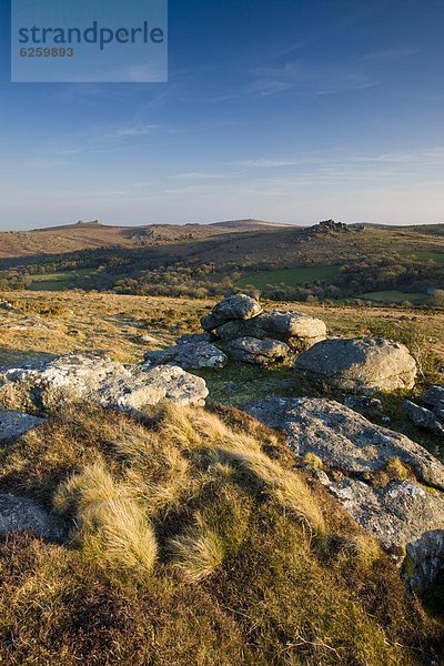 Europa  sehen  Großbritannien  Horizont  Heu  Jagdhund  erklären  Devon  England  Granit