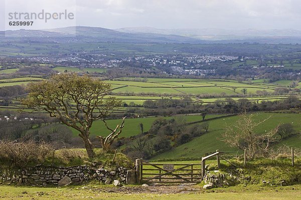 Europa  Ländliches Motiv  ländliche Motive  Großbritannien  über  Ansicht  Devon  England