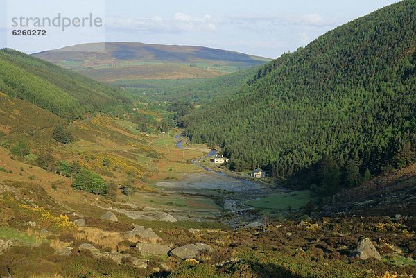 nahe  Europa  Tal  Ansicht  County Wicklow  Glendalough  Leinster