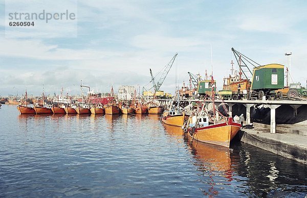 Argentinien  Mar del Plata  Südamerika