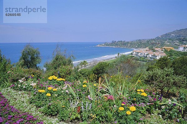 Vereinigte Staaten von Amerika USA Nordamerika Kalifornien Laguna Beach