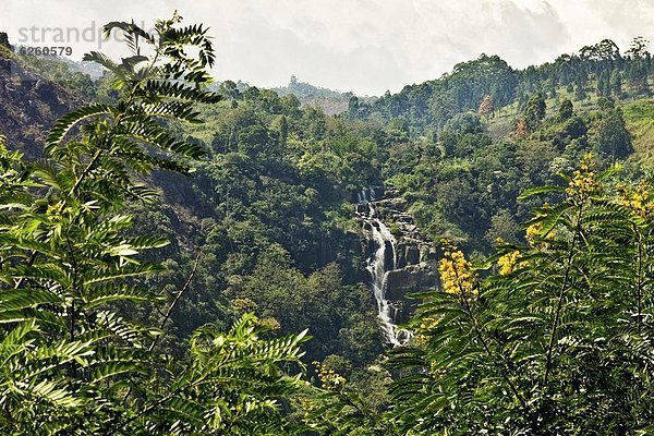 Felsbrocken  fallen  fallend  fällt  klein  Richtung  Asien  unterhalb  Sri Lanka