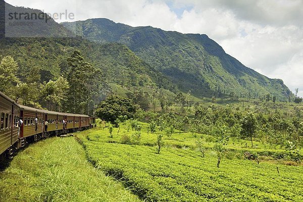 Landschaftlich schön  landschaftlich reizvoll  Berg  fahren  Mittelpunkt  Plantage  Asien  Highlands  mitfahren  Sri Lanka  Tee  Zug