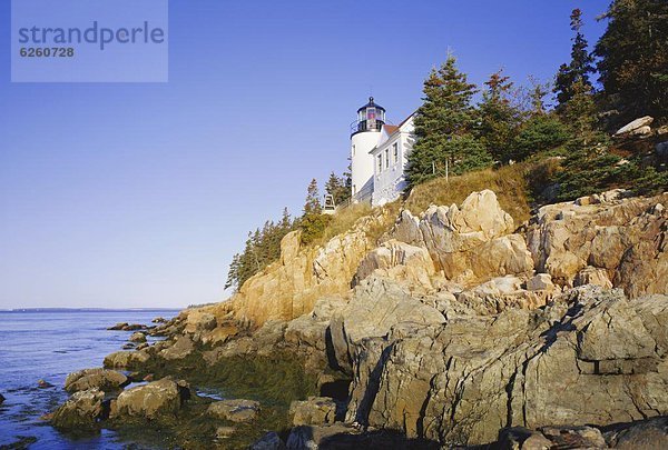 Vereinigte Staaten von Amerika USA Nordamerika Neuengland Acadia Nationalpark Maine