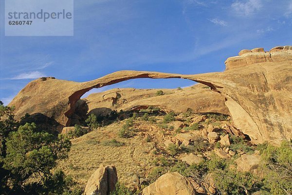 Vereinigte Staaten von Amerika  USA  Nordamerika  Arches Nationalpark  Landscape Arch  Utah