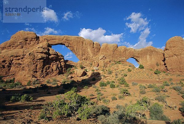 Vereinigte Staaten von Amerika  USA  Nordamerika  Arches Nationalpark  Utah
