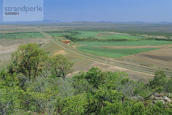 Spazierstock  Stock  Nutzpflanze  Bundesstraße  Zucker  Australien  Queensland