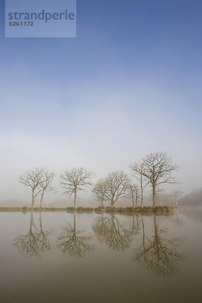 Europa  Morgen  Baum  Großbritannien  Dunst  Spiegelung  Fernverkehrsstraße  angeln  England  Teich  Reflections