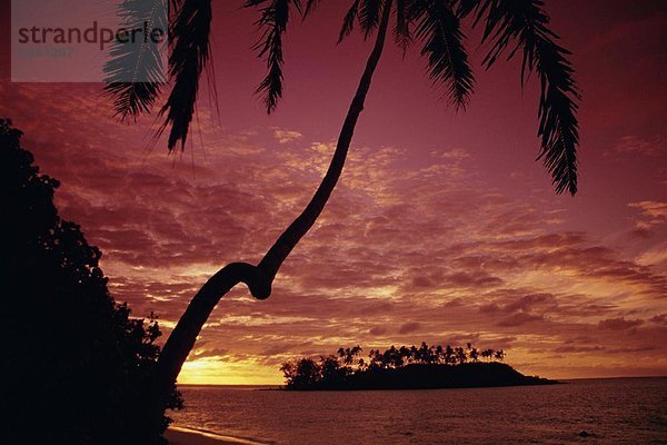 Baum  Silhouette  Sonnenaufgang  Wüste  Insel  Pazifischer Ozean  Pazifik  Stiller Ozean  Großer Ozean  Cook-Inseln  Rarotonga