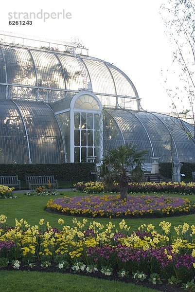 Palm House  Royal Botanic Gardens (Kew Gardens)  UNESCO Weltkulturerbe  Kew  Greater London  England  Großbritannien  Europa