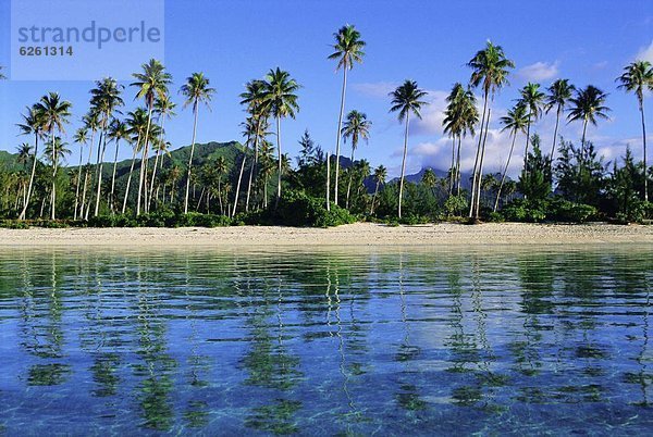 Ostküste  Pazifischer Ozean  Pazifik  Stiller Ozean  Großer Ozean  Französisch-Polynesien