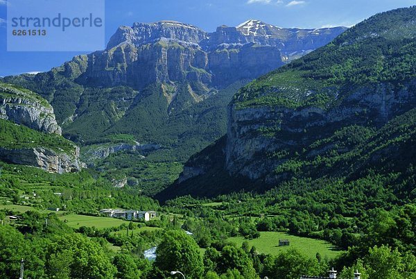 Europa  Tal  grün  Papagei  Aragonien  Huesca  Spanien