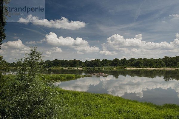 nahe  Europa  Botanik  Fluss  Dorf  Deutschland  Sachsen-Anhalt