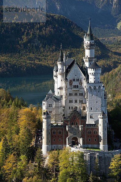 Europa  Palast  Schloß  Schlösser  Schloss Neuschwanstein  Alpen  Herbst  Bayern  deutsch  Deutschland  Romantik