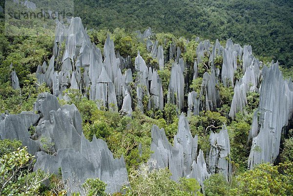 Asien  Malaysia  Sarawak