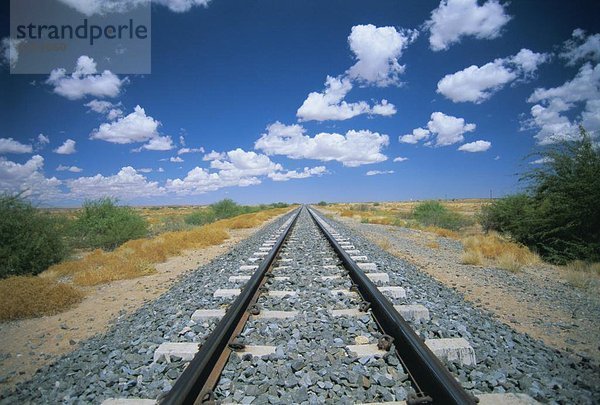 Bahn verfolgt  in der Nähe von Mariental  Namibia  Afrika