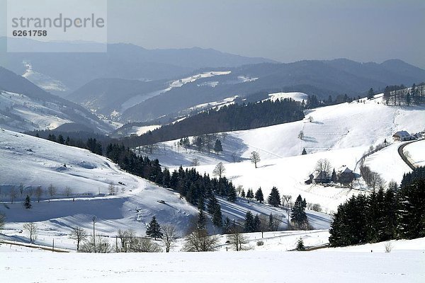 Europa  Baden-Württemberg  Schwarzwald  Deutschland