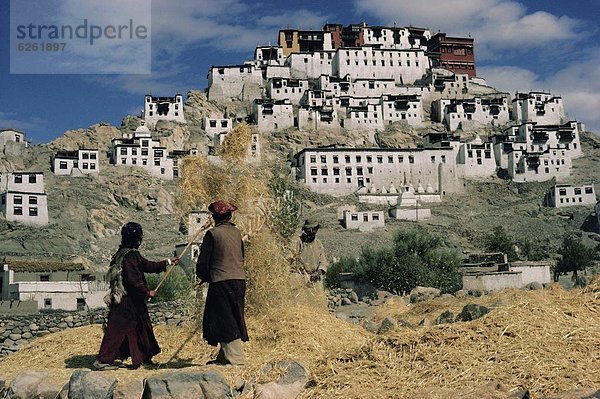 ernten  Asien  unterhalb  Indien  Ladakh  Kloster