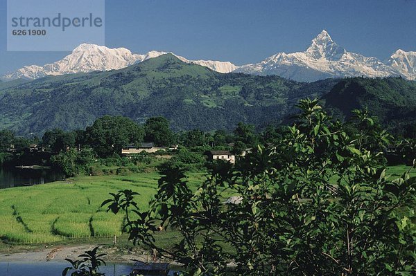 Mount Machapucharé (Machhapuchhare)  Himalaya  Nepal  Asien