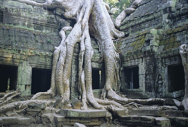 Vietnam  Angkor  Asien  Kambodscha  Siem Reap