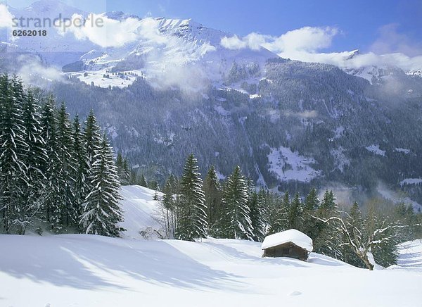 Europa über Sturm Tal Ansicht Westalpen Berner Oberland Schnee Schweiz Schweizer Alpen