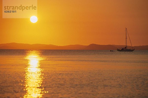 Strand  Sonnenuntergang  Ansicht  Australien  Affe  Queensland