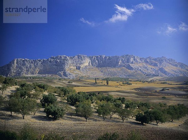 Europa  Landschaft  Spanien