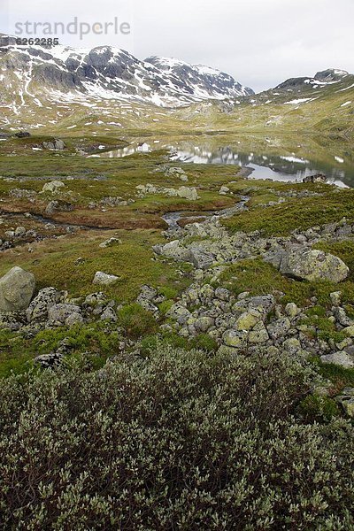 Europa  Norwegen  Skandinavien  Telemark