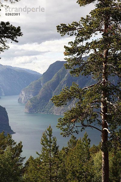 Europa  Norwegen  Skandinavien  Sogn og Fjordane