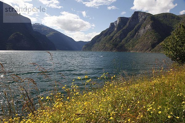 Europa  Norwegen  Skandinavien  Sogn og Fjordane